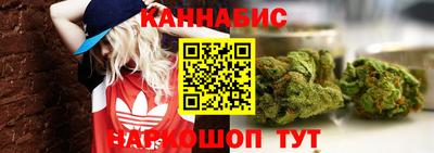 гашик Заводоуковск