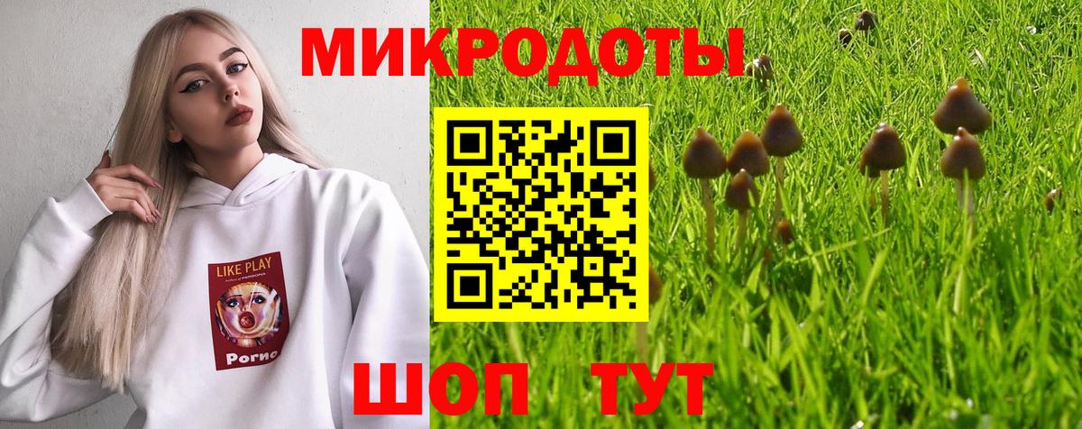 Галлюциногенные грибы Psilocybine cubensis Кудымкар